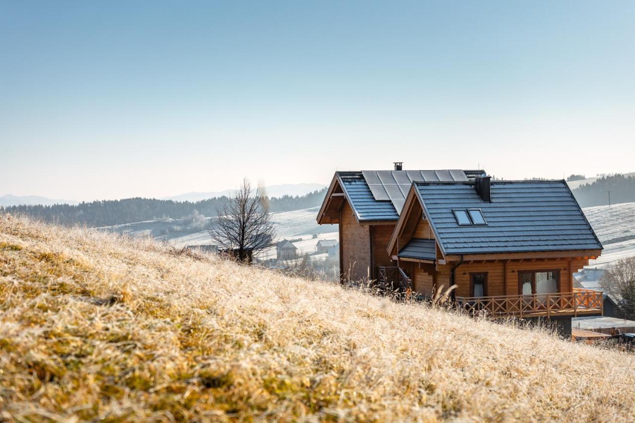 Houten Vakantiewoning "Reisnaarpolen" Royaal Ontbijt, Sauna En Hottub Czarna Góra Kültér fotó